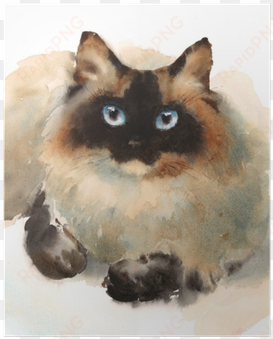 watercolor ragdoll siamese cat pet portrait animal - siamese cat watercolor