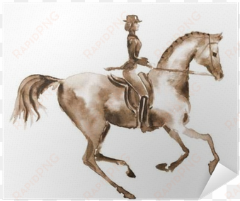 watercolor rider and dressage horse on white - dressage