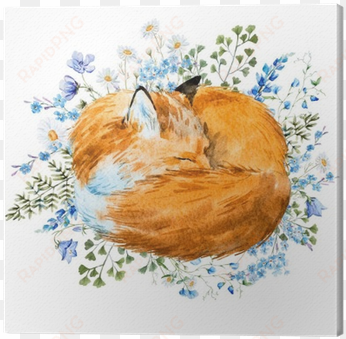 watercolor sleeping fox