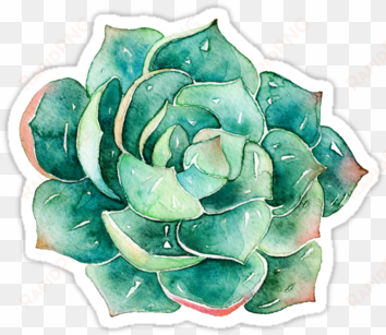 "watercolor succulent sticker " stickers by southprints - water color succulent