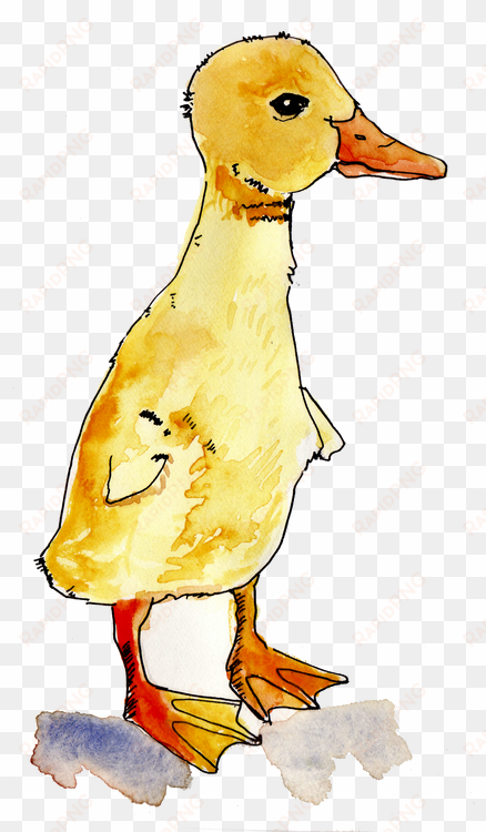 watercolors are beautiful, arent they i am learning - duck