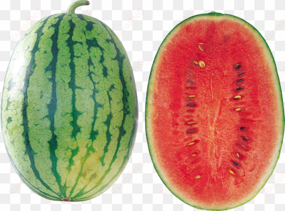 watermelon png image - watermelon transparent