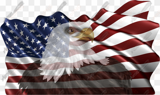 Waving American Flag Eagle Head - American Flag With Bald Eagle Waving transparent png image
