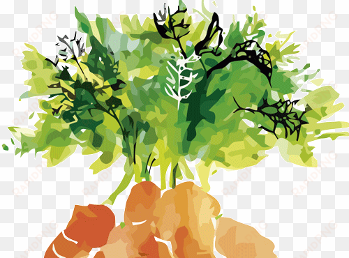 we also work multiple formats, sizes and types of plastic - carrots watercolour