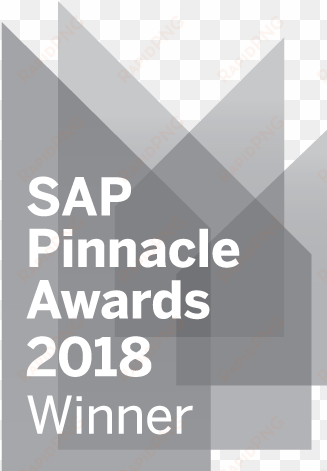 "we are incredibly honoured to be selected as this - sap pinnacle awards 2017