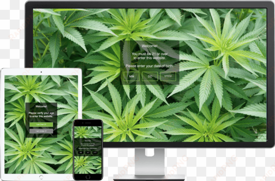 we recommend installing the 'basic' free version of - weed plant