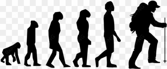 we spent millions of years moving away from walking - evolution of man graphic organizer