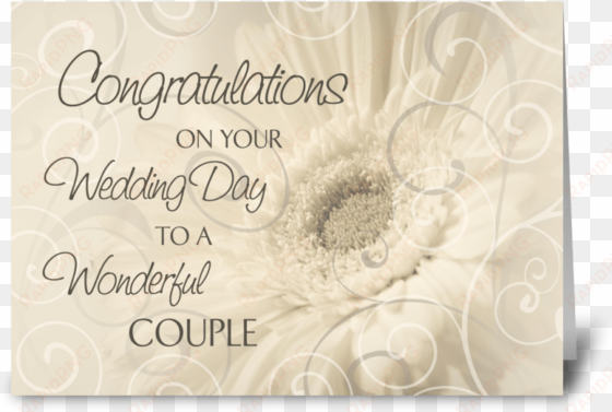 wedding day congratulations white swirls greeting card - wedding congratulations white