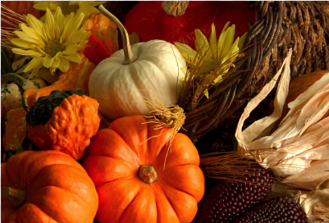 Wednesdays At Knox Celebrates Thanksgiving With A Special - Fall Thanksgiving Banner Give Thanks 3x5 transparent png image