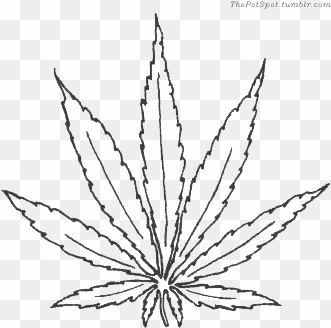 weed leaf drawing tumblr at getdrawings - weed leaf outline transparent