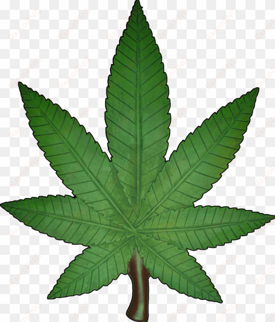 weed leaf png