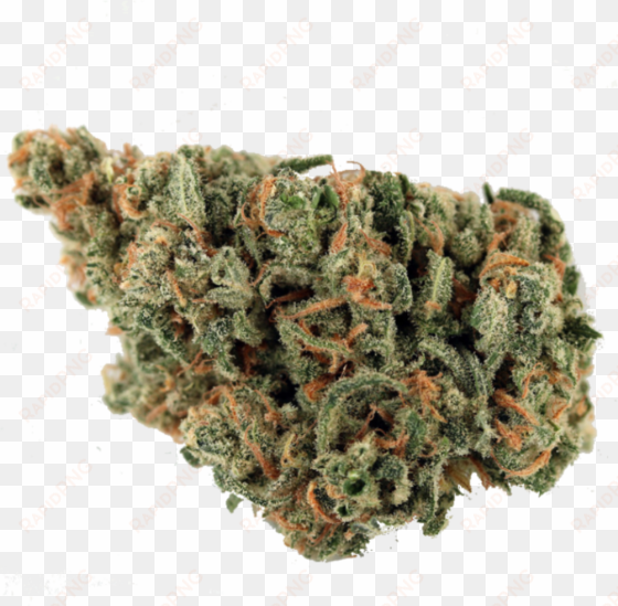 weed transparent download - haze