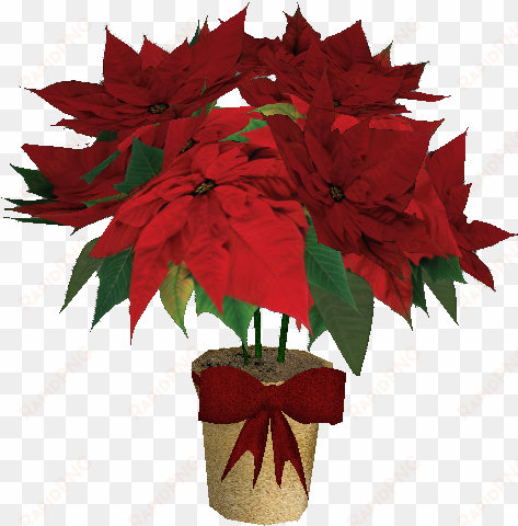 welcome to christmas town - poinsettia