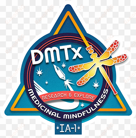 welcome to the extended-state dmt research newsletter