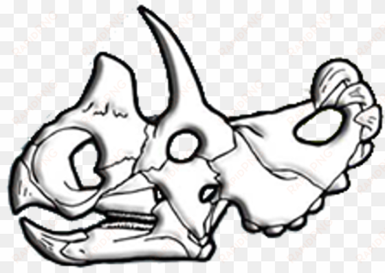 wendiceratops skull diagram - drawing