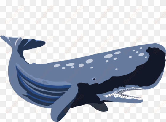 whale