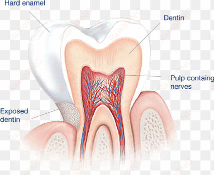 what causes sensitive teeth - dentes sensiveis