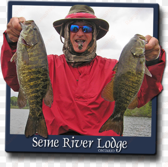 when to fish smallmouth bass on the seine chain - bass