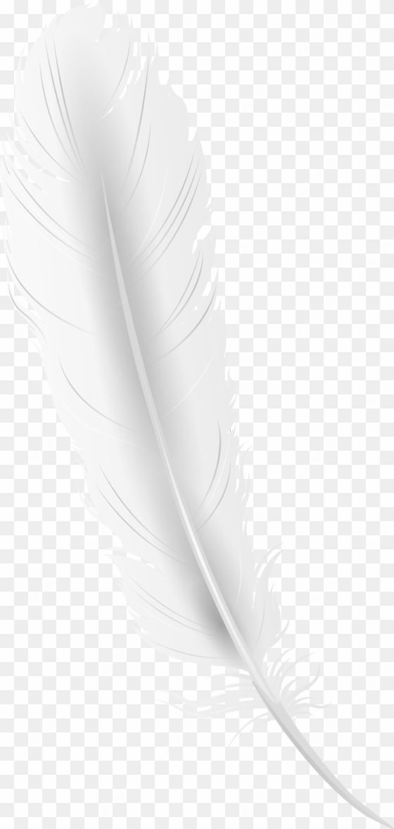 white feather clip art