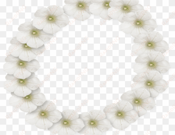 white flower frame png photo peoplepngcom peoplepngcom - picture frame