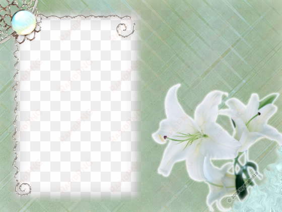 white flower frame png transparent - white flower frames png