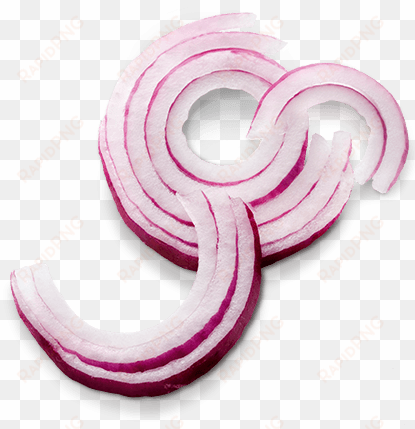 white onion png - onion slice png