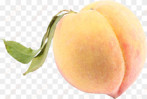 White Peach Png transparent png image