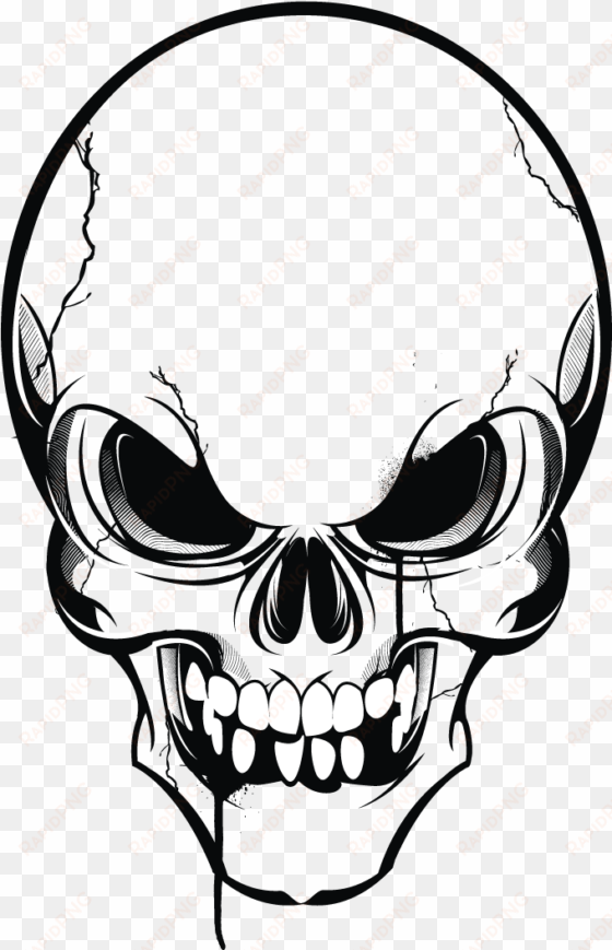 white skull png download - skull vector png transparent