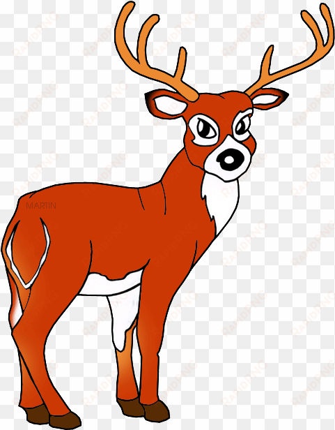 white tailed deer - red deer clipart