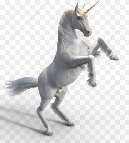 white unicorn, category, - unicorn psd