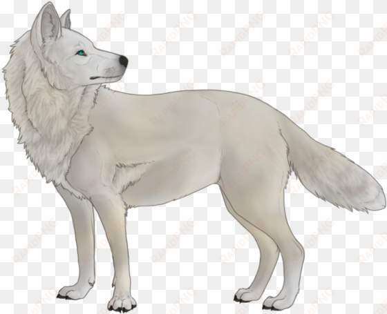 white wolf thing - white wolf no background