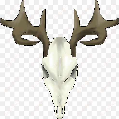 whitetail deer skull drawings - animal skull art transparent