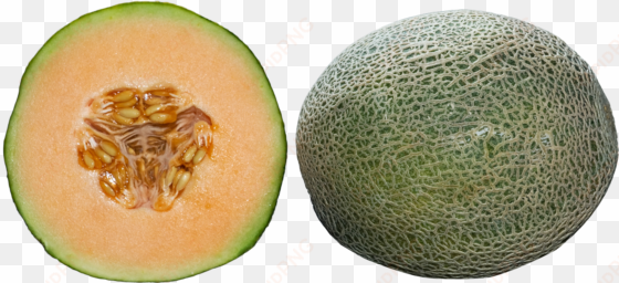 whole and half cantaloupe png image - whole cantaloupe