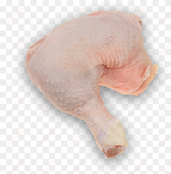 whole chicken leg - turkey meat