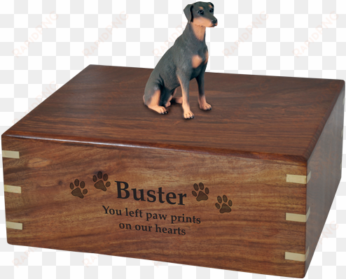 wholesale doberman pinscher, red sitting urn engraved - dog catches something