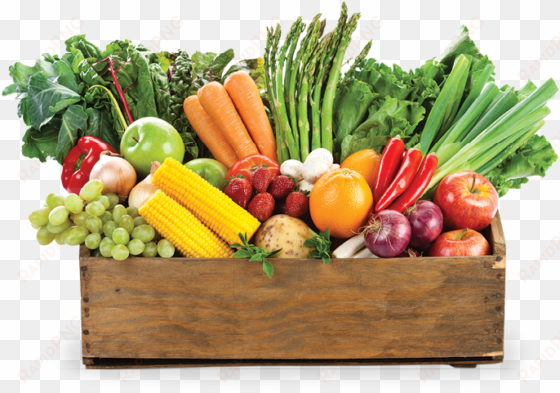 why do fruits and vegetables matter to men - fruit and veg box