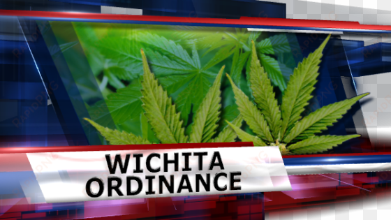 wichita voters will decide marijuana decriminalization - vehicle