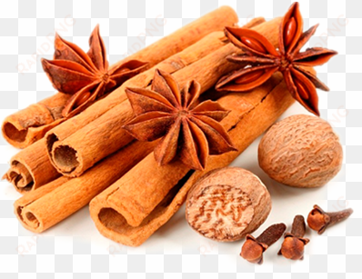 wide spectrum of spices - amoretti pumpkin spice edible perfume spray - 2.5 oz