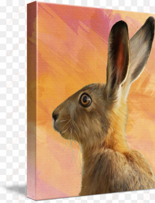 wild hare - wild hare note card