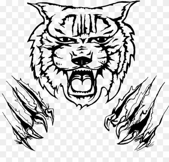 wildcat drawing clip art - wildcat drawing