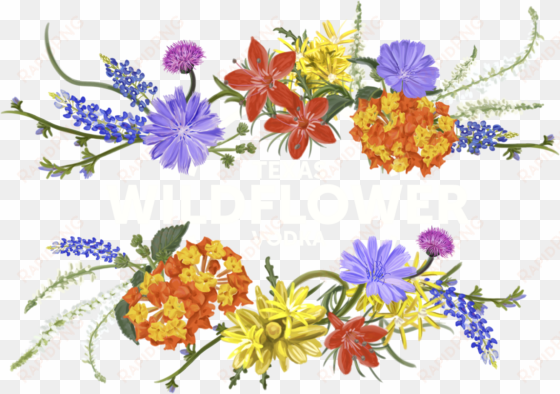 wildflower watercolour flowers vodka clip art - wildflower clipart