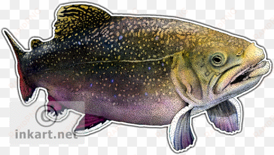 wildlife art - brook trout throw blanket