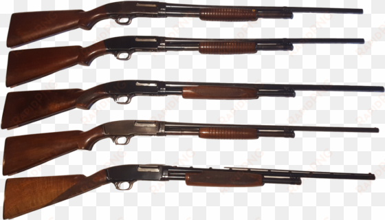 winchester shot guns - rifle