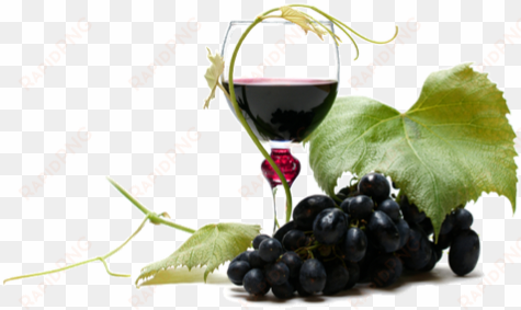 wine png clipart - grapes and wine png