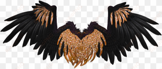 wing, angel, fly, gold, black, png, isolated, 3d - black and gold angel wings