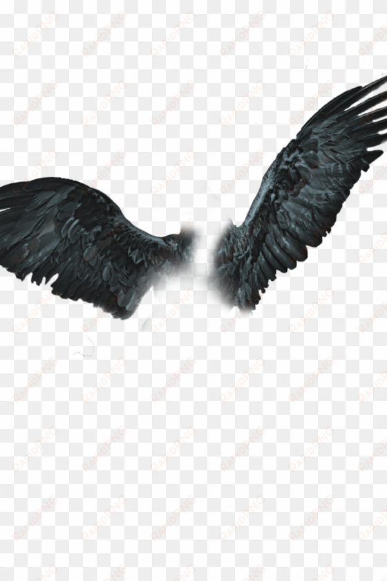 wing png cb background download - wings png