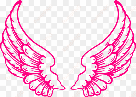 wings, angel, feathers, wings of angels - pink angel wings clip art