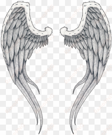 wings tattoos clipart png images - angel wings tattoo transparent