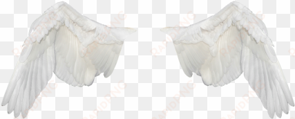 Wings,wings Ave,flight,fly,white Wings,png,freedom - Alas Blancas Png transparent png image