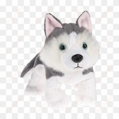 winners announced siberian husky name me contest - webkinz starter kit